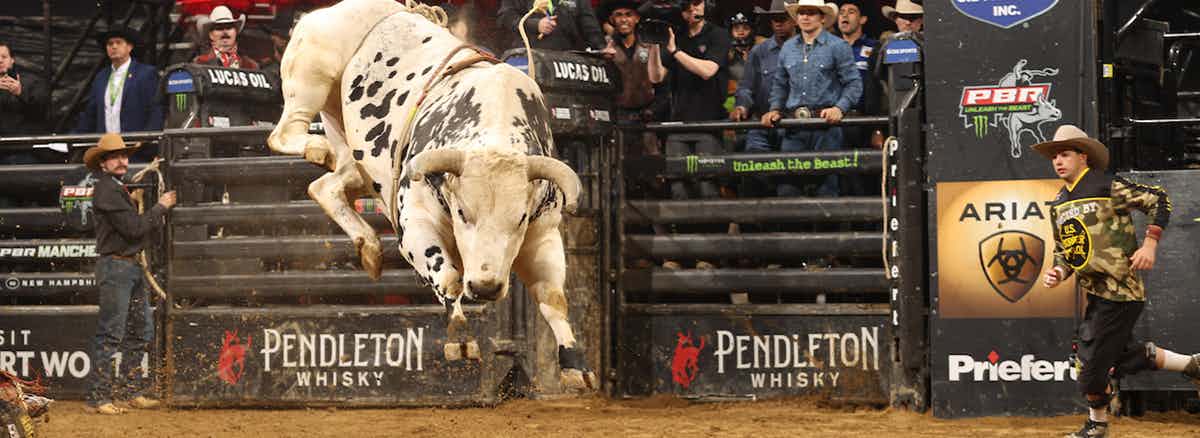 PBR Teams: Outlaw Days